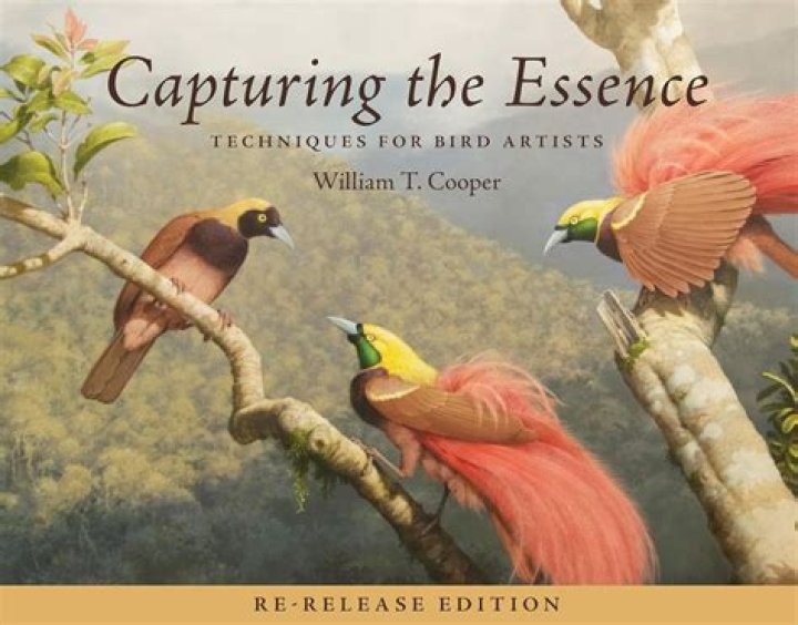 Capturing the Essence: Caroline Orzabal Photos
