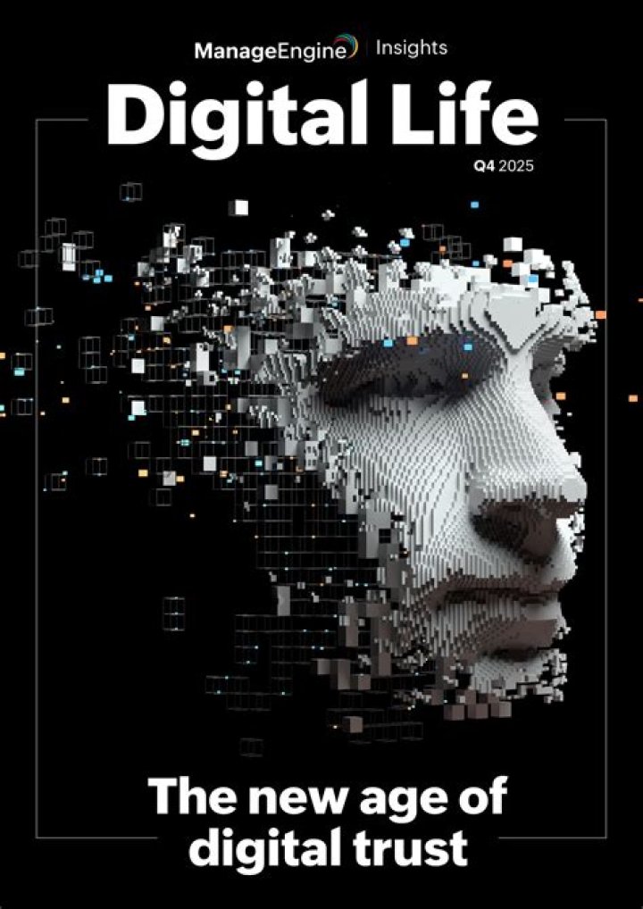 Discovering Desifakes: The New Age of Digital Creativity