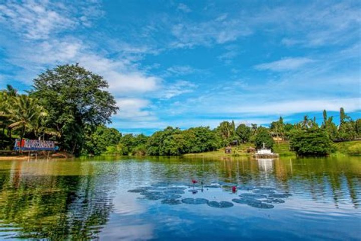 Discovering the Charm of Peachykai: A Unique Journey