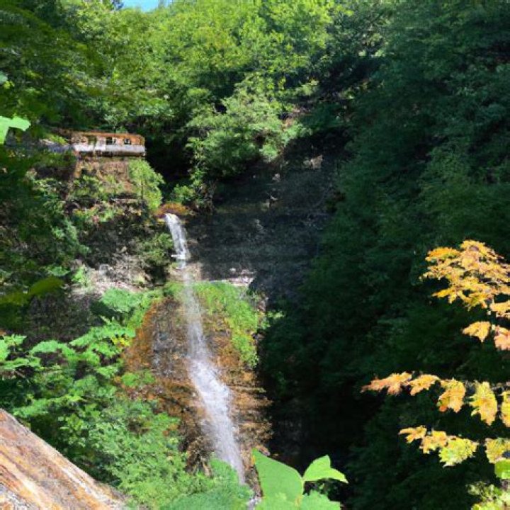Discovering the Enigmatic Autumn Falls: A Wikipedia Exploration