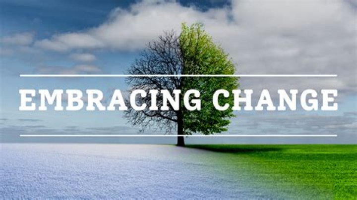 Embracing Change: The Journey of Temporary Replacement 2 Hyungry