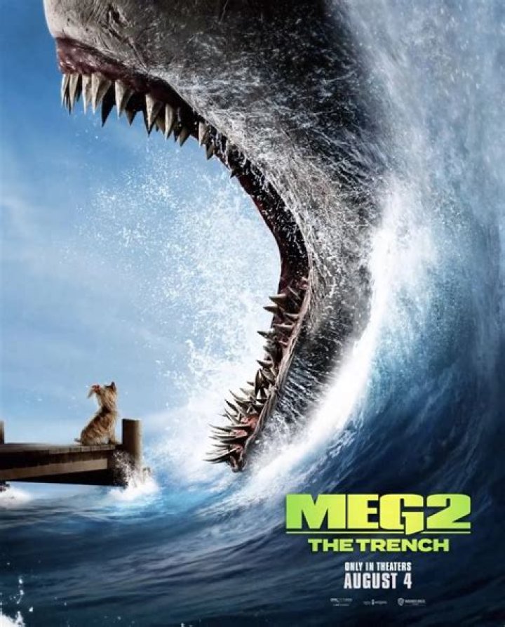 Exploring the Meg Turney Leak: A Deep Dive into the Controversy