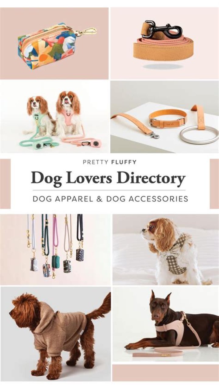 K9Dolls: The Ultimate Companion for Dog Lovers