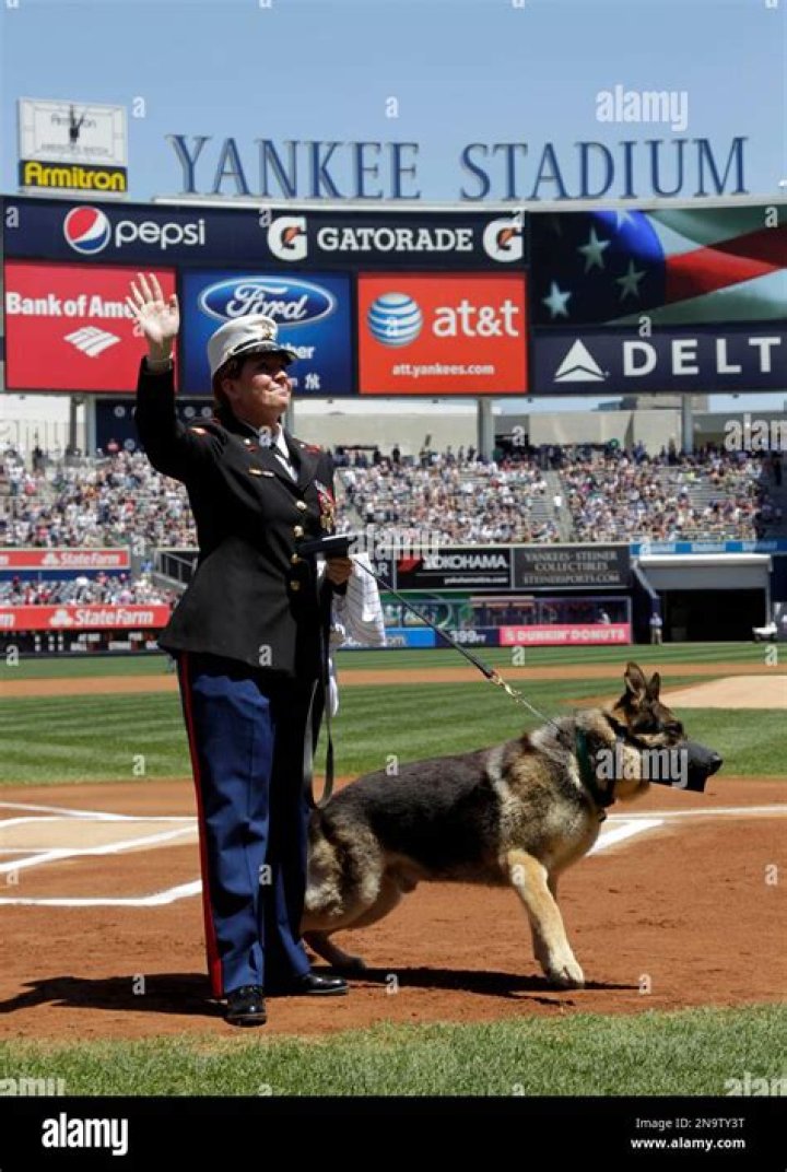 Megan Leavey and Her Journey with Love: The Story of Her Husband