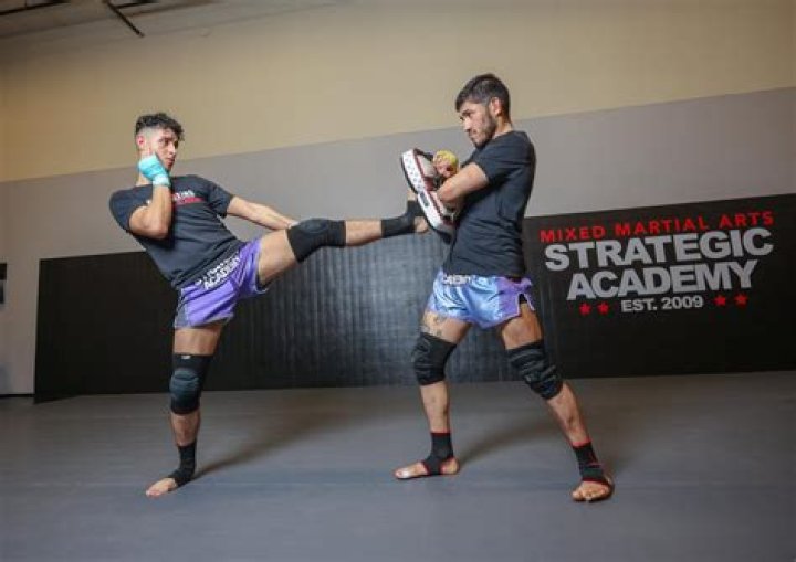 MMA Share: The Ultimate Hub for Mixed Martial Arts Enthusiasts