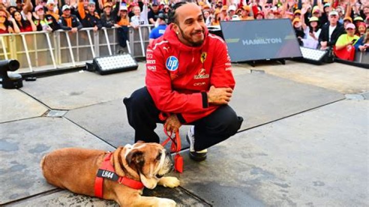 Nicolas Hamilton and Sophie Hamshere: A Remarkable Connection