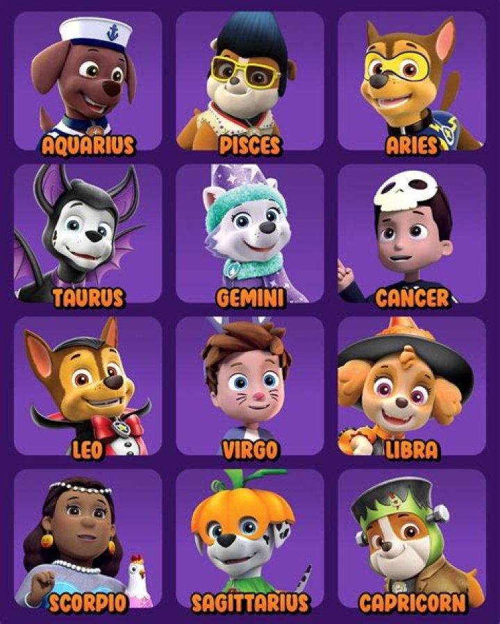 Paw Patrol Characters Names and Pictures: Meet the Amazing Team!