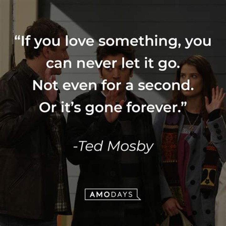Ted Mosby: The Architect of Love and Friendship