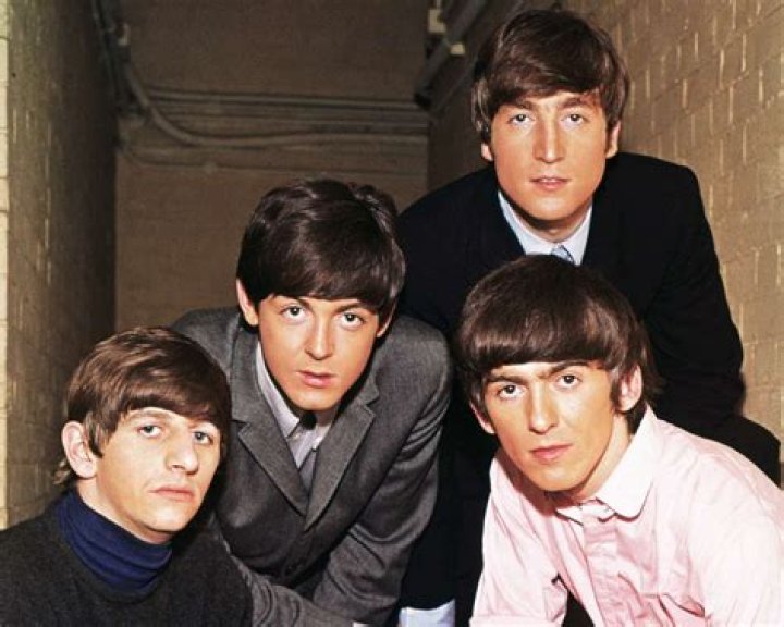 The Tallest Beatle: A Journey Through Height and Harmony