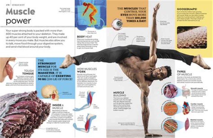 The Ultimate Guide to the Diddy List: Understanding Its Significance and Impact
