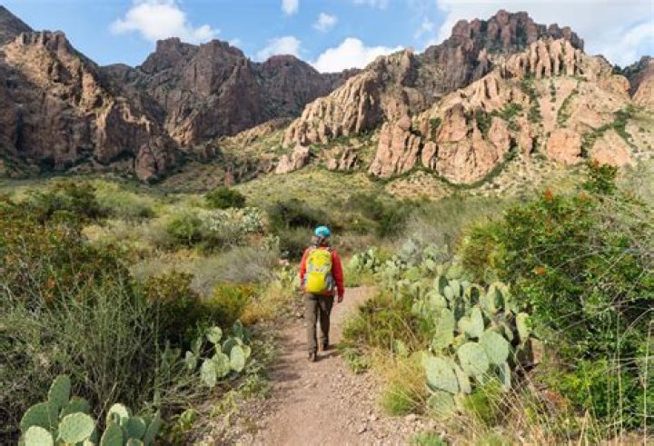 Tragic Turns: Examining Horseshoe Bend Deaths Per Year