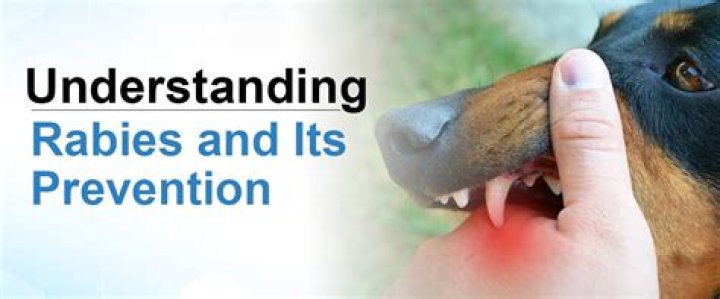 Understanding Rabies T Lagomorph: Insights and Implications