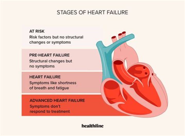 Understanding the Significance of Heart Colors: A Deep Dive