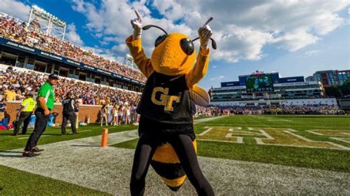 Unraveling the Buzz: The Megnutt Leaked Controversy