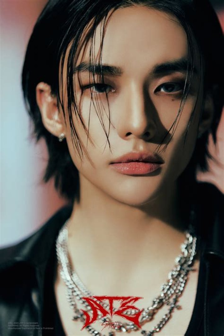 Unraveling the Charismatic Star: Hwang Hyunjin