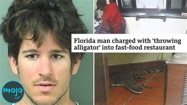 Unraveling the Mystique of Florida Man: Stories from November 10