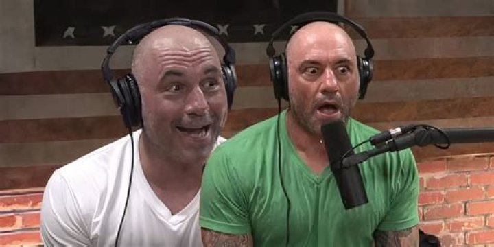 Unraveling the World of Joe Rogan's Children