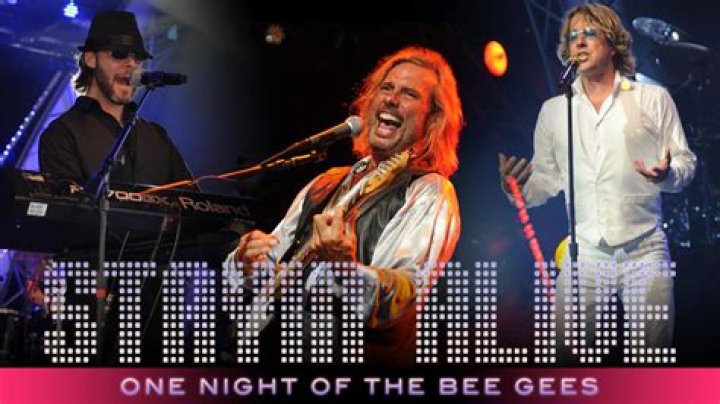 Unveiling the Legendary Bee Gees: A Journey Through Music and Harmony