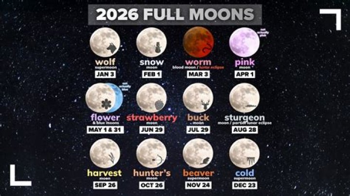 Unveiling the Mystery: The Delfine Leaked Saga