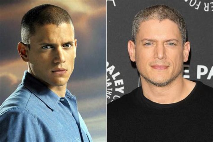 Wentworth Miller 2024: A Journey Through His Life and Career